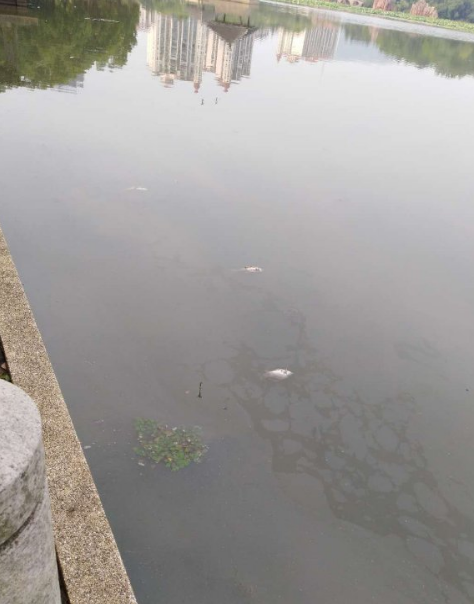 1560153385121143.png 微信截圖_20190610155612.png