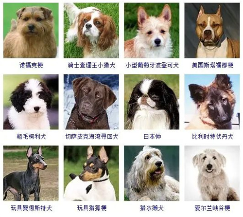 微信圖片_20220406114725.jpg
