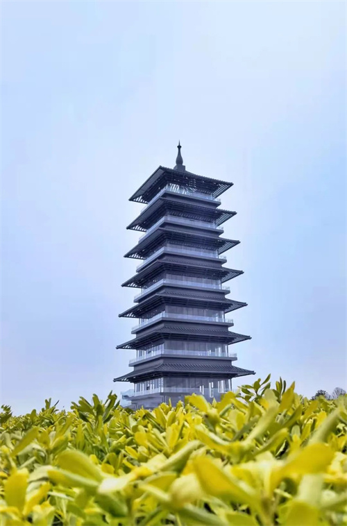 微信圖片_20220527110651.jpg